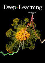 Deep Learning, l'effet Eliza